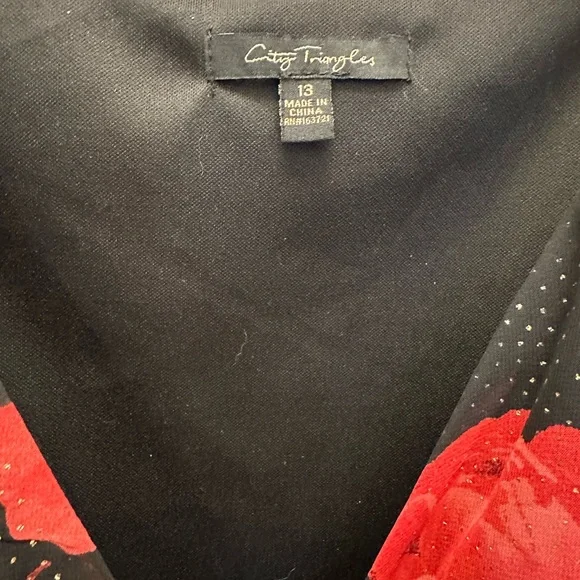 ⭐️HostPick⭐️City Triangles Black & Red Floral Long Sleeve Dress w/ Gold sparkles - Picture 6 of 14